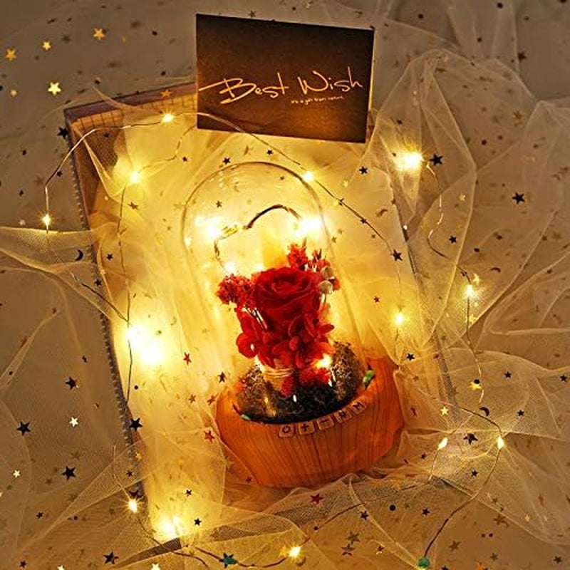 Mother'S Day Red Rose Night Light Real Eternal in Glass Dome, Preserved Rose Flower Lamp with Speaker,Forever Flowers Gift for Mom, Wife, Girlfriend on Mother'S Day